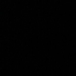 Meet your Posher, Liz